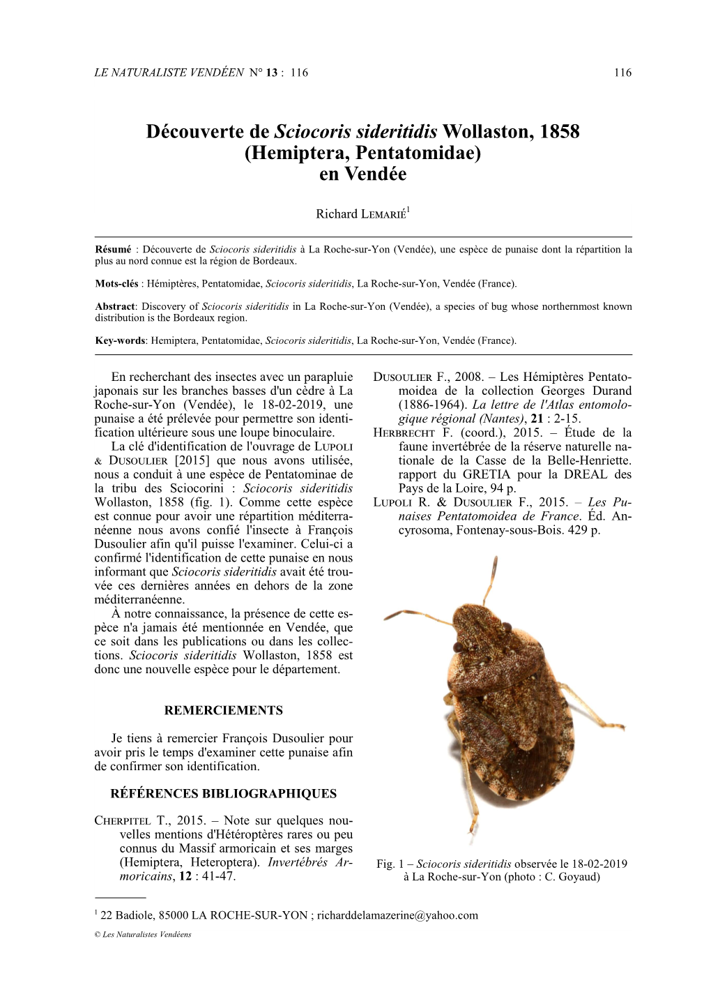 Découverte De Sciocoris Sideritidis Wollaston, 1858 (Hemiptera, Pentatomidae) En Vendée