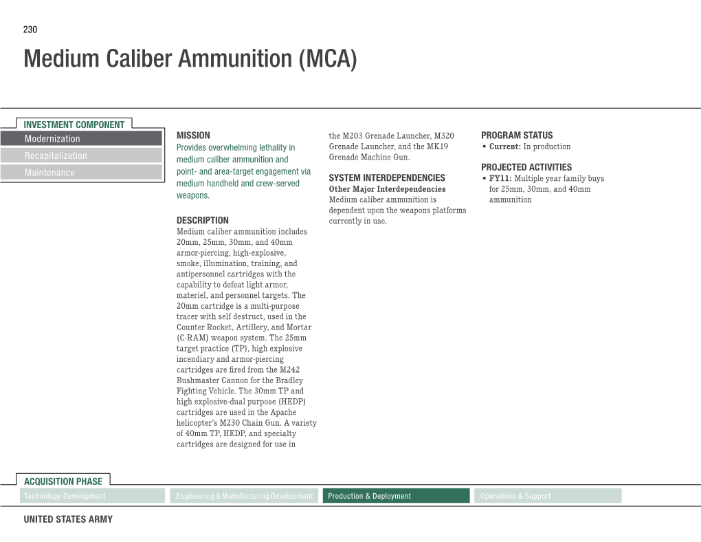 Medium Caliber Ammunition (MCA)