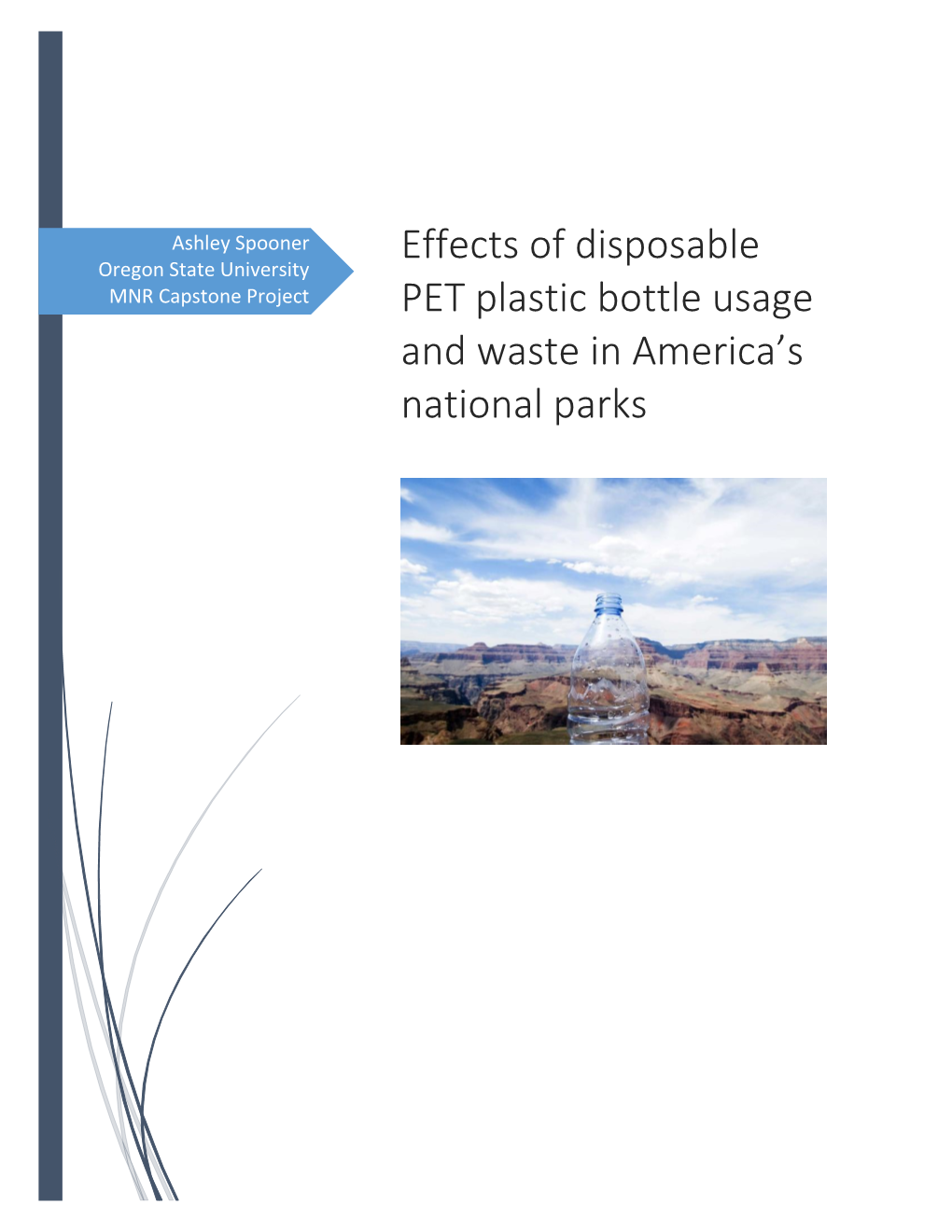 Effects of Disposable PET Plastic Bottle Usage and Waste in America's