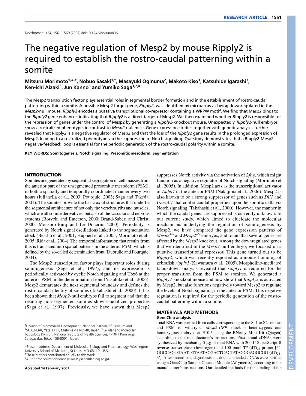 The Negative Regulation of Mesp2 by Mouse Ripply2 Is Required To