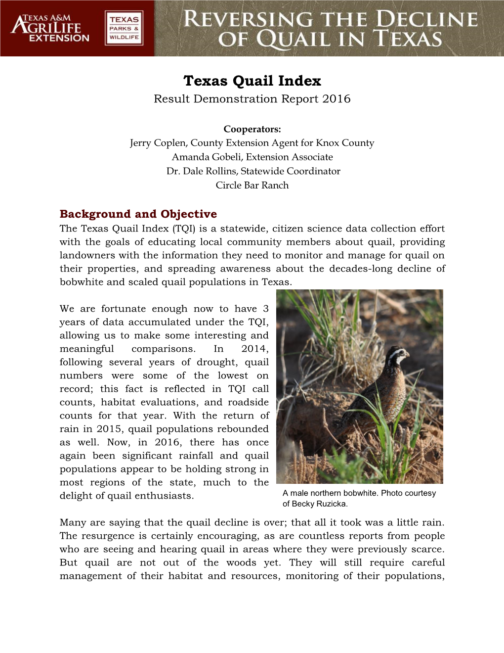 Texas Quail Index Result Demonstration Report 2016