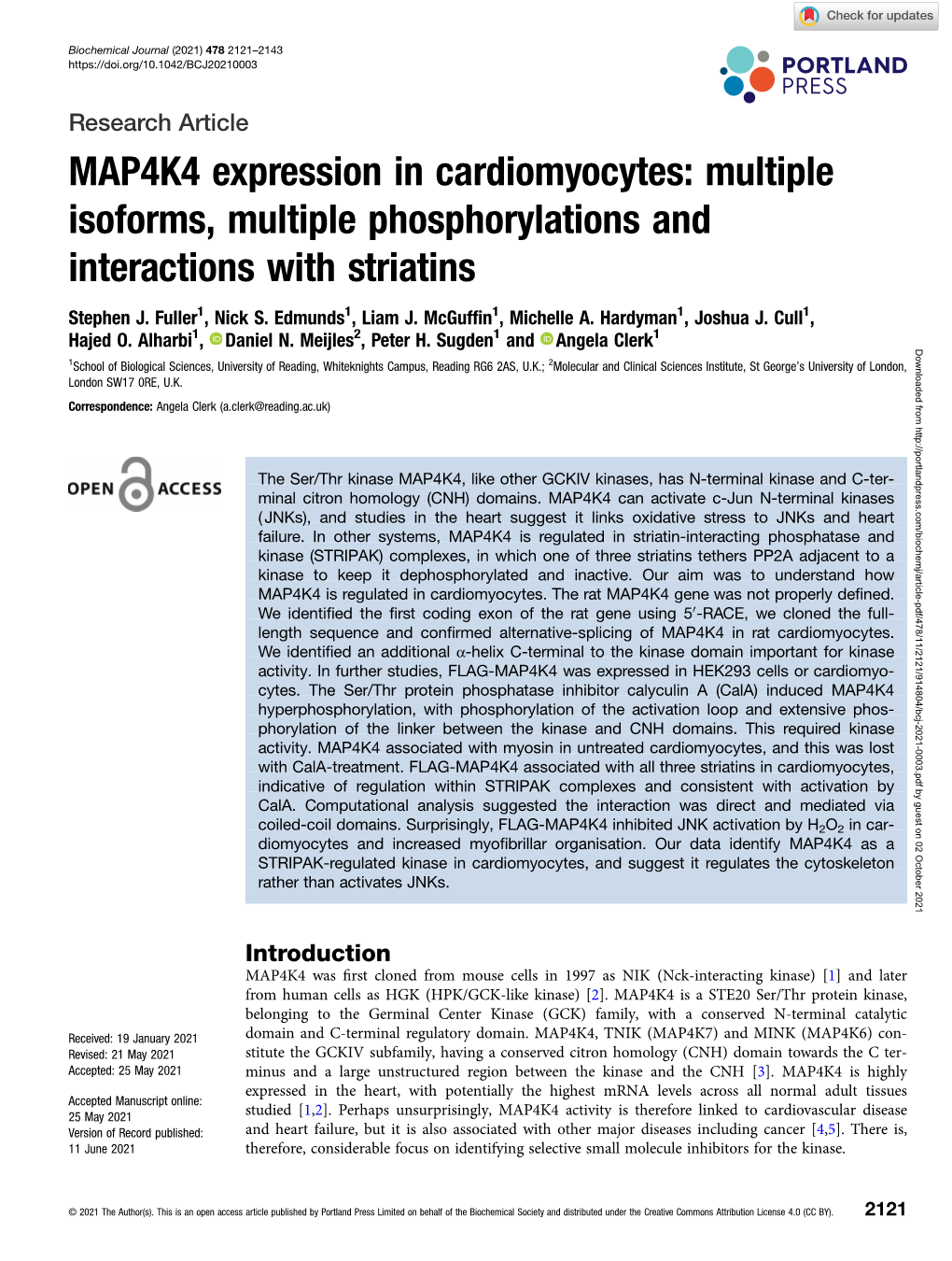 MAP4K4 Expression in Cardiomyocytes: Multiple Isoforms, Multiple Phosphorylations and Interactions with Striatins