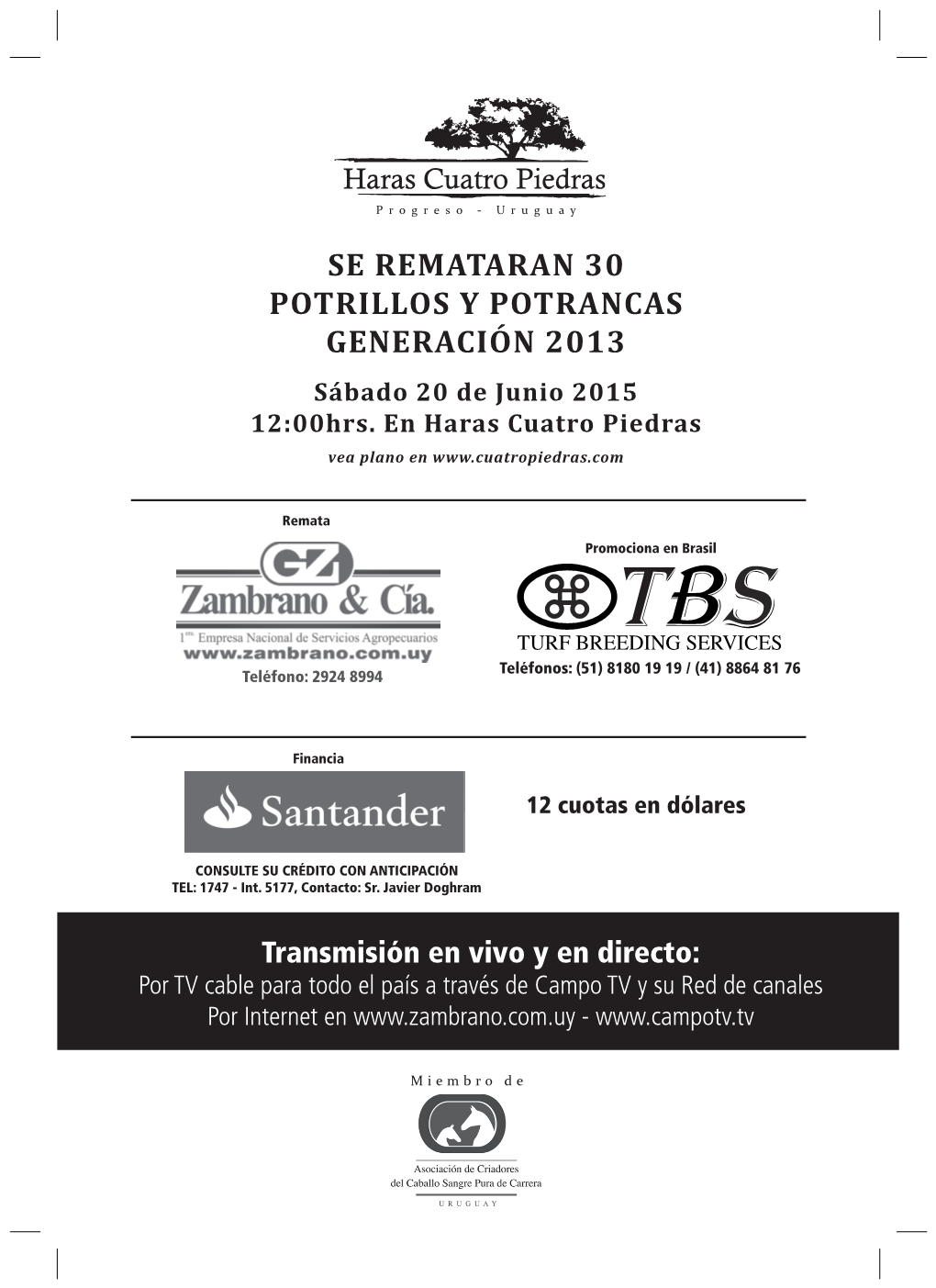 SE REMATARAN 30 POTRILLOS Y POTRANCAS GENERACIÓN 2013 Sábado 20 De Junio 2015 12:00Hrs