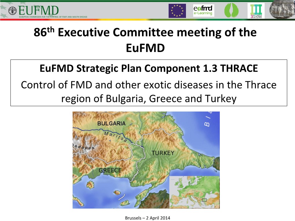 86Th Executive Committee Meeting of the Eufmd