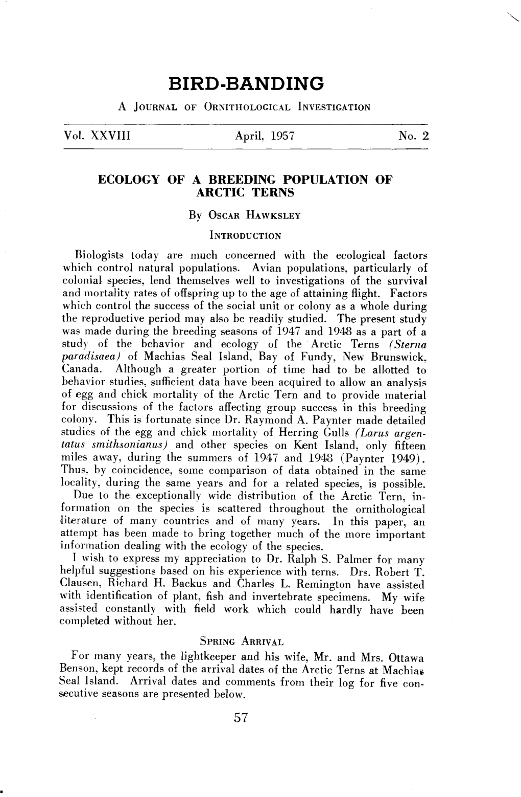 Ecology of a Breeding Population of Arctic Terns