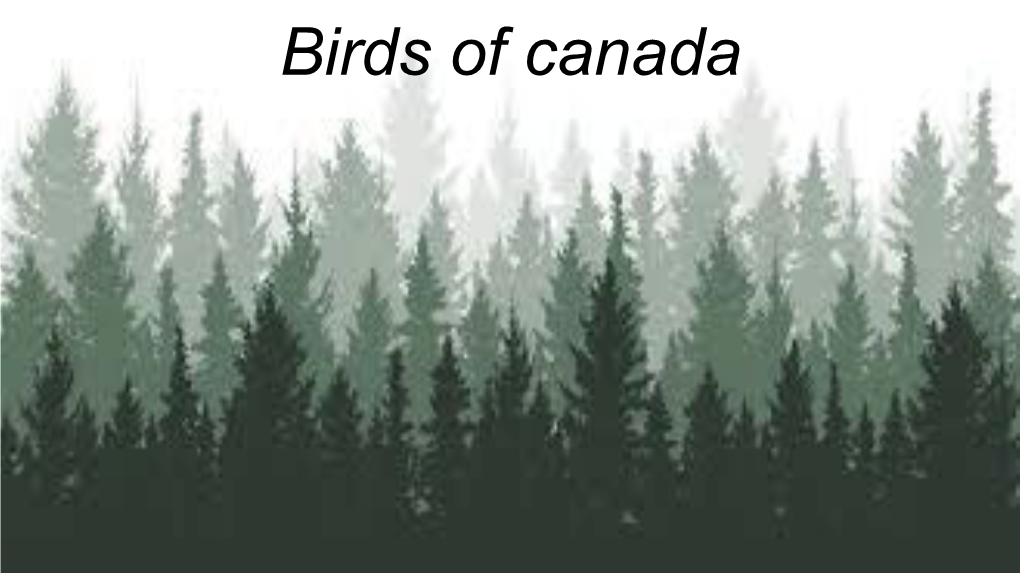 Birds of Canada (PPT).Pdf