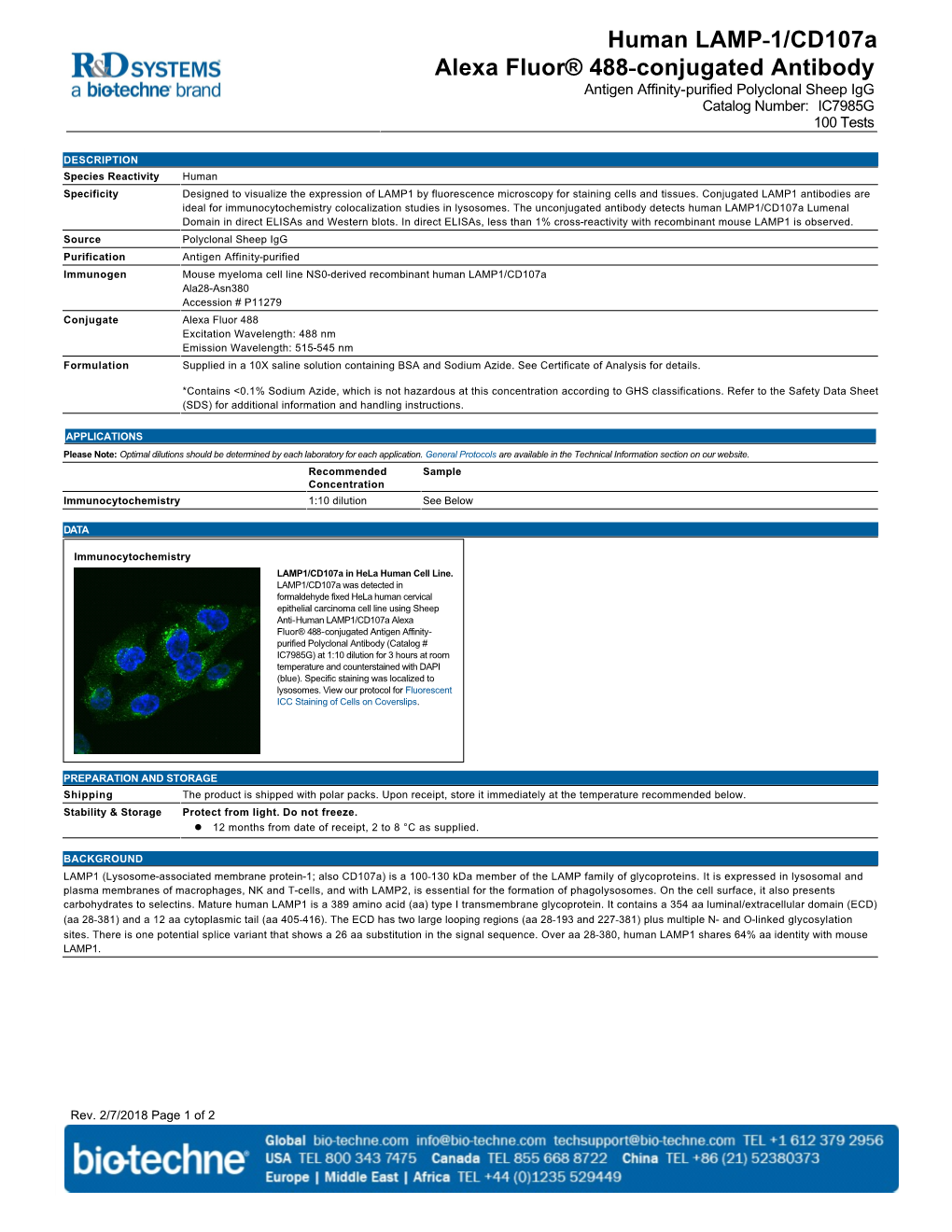 Human LAMP-1/Cd107a Alexa Fluor® 488-Conjugated Antibody