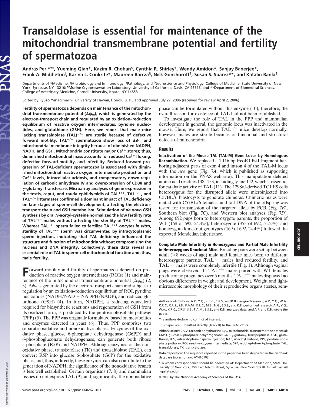 Transaldolase Is Essential for Maintenance of the Mitochondrial Transmembrane Potential and Fertility of Spermatozoa