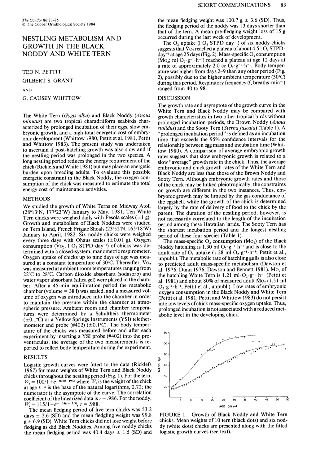 Nestling Metabolism and Growth in the Black Noddy and White Tern