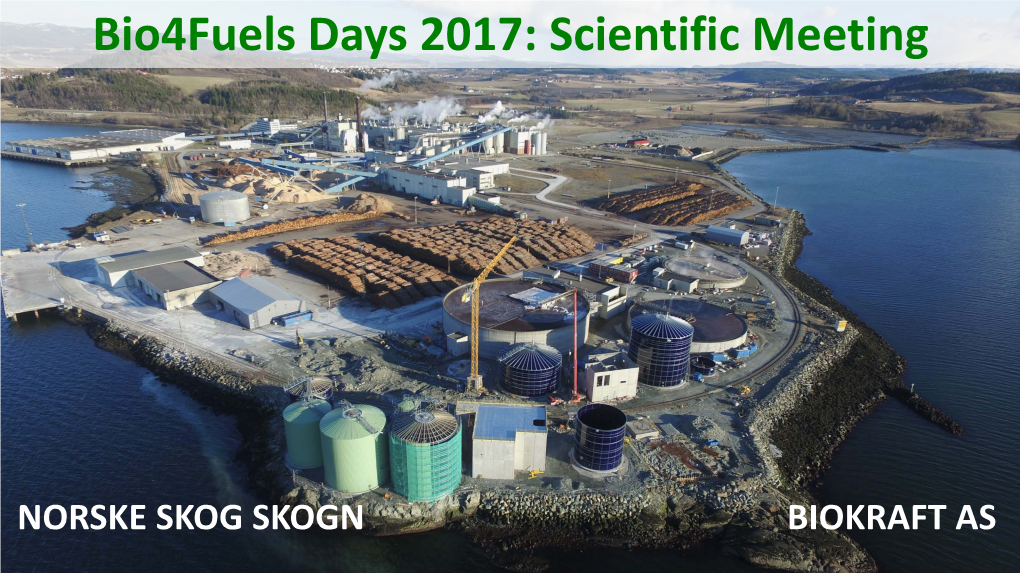 Bio4fuels Days 2017: Scientific Meeting