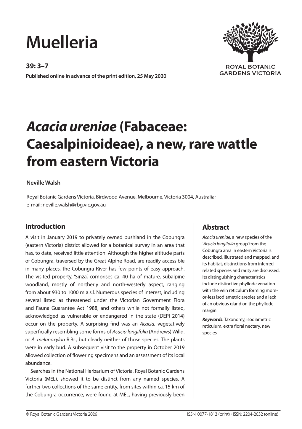 Acacia Ureniae (Fabaceae: Caesalpinioideae), a New, Rare Wattle from Eastern Victoria