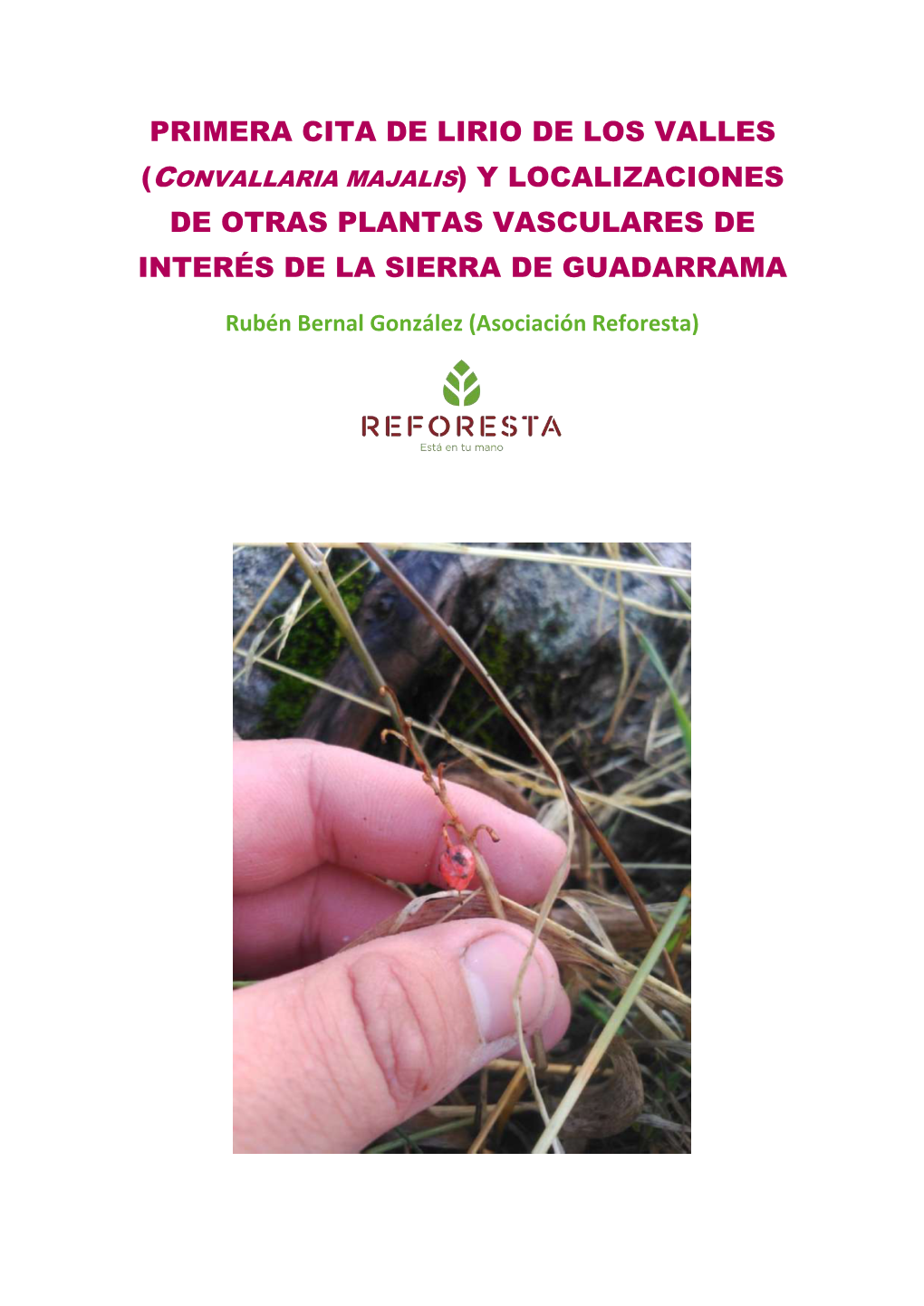 Primera Cita De Lirio De Los Valles (Convallaria Majalis) Y Localizaciones De Otras Plantas Vasculares De Interés De La Sierra De Guadarrama