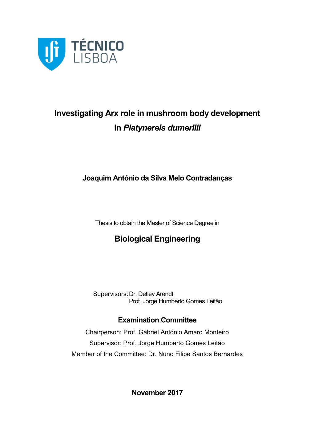 Investigating Arx Role in Mushroom Body Development in Platynereis Dumerilii