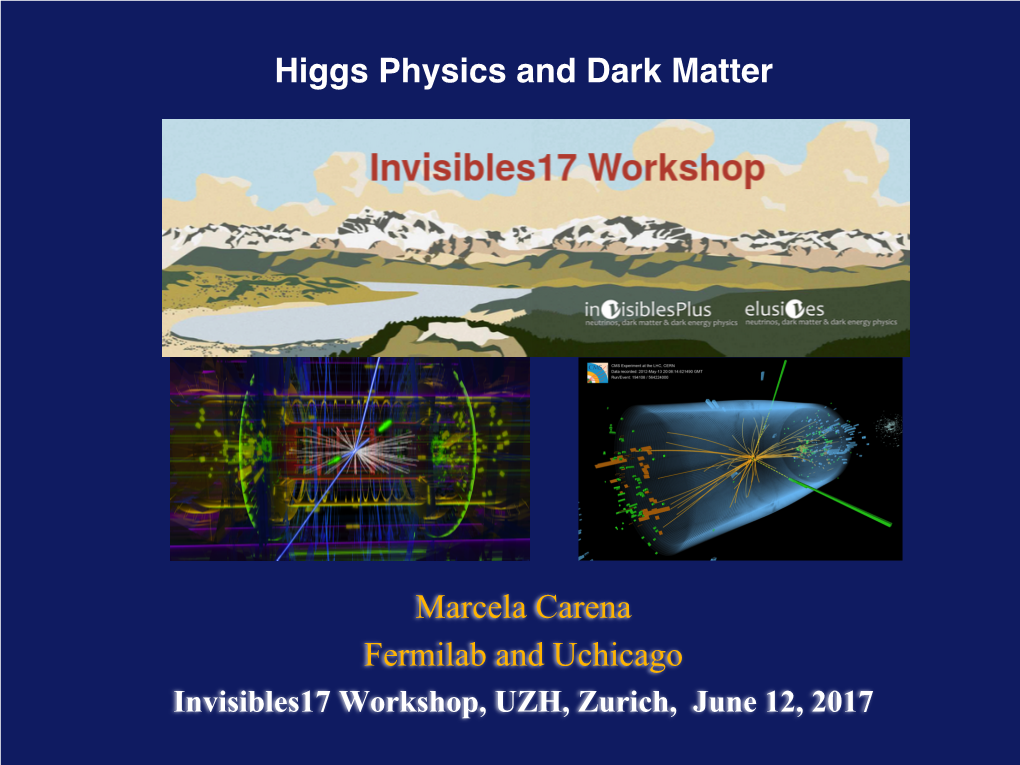Marcela Carena Fermilab and Uchicago Higgs