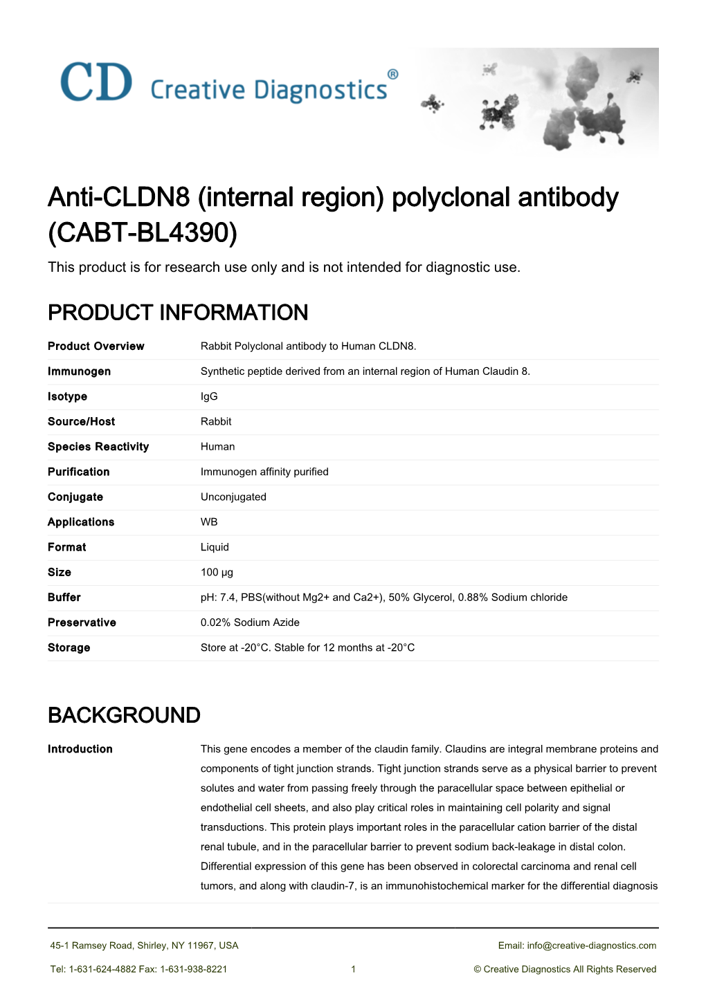 Anti-CLDN8 (Internal Region) Polyclonal Antibody (CABT-BL4390) This Product Is for Research Use Only and Is Not Intended for Diagnostic Use