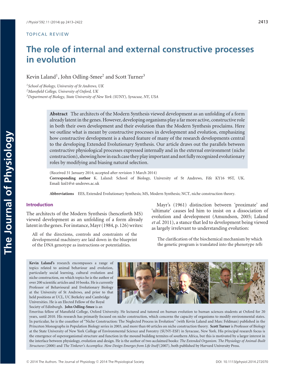 The Role of Internal and External Constructive Processes in Evolution