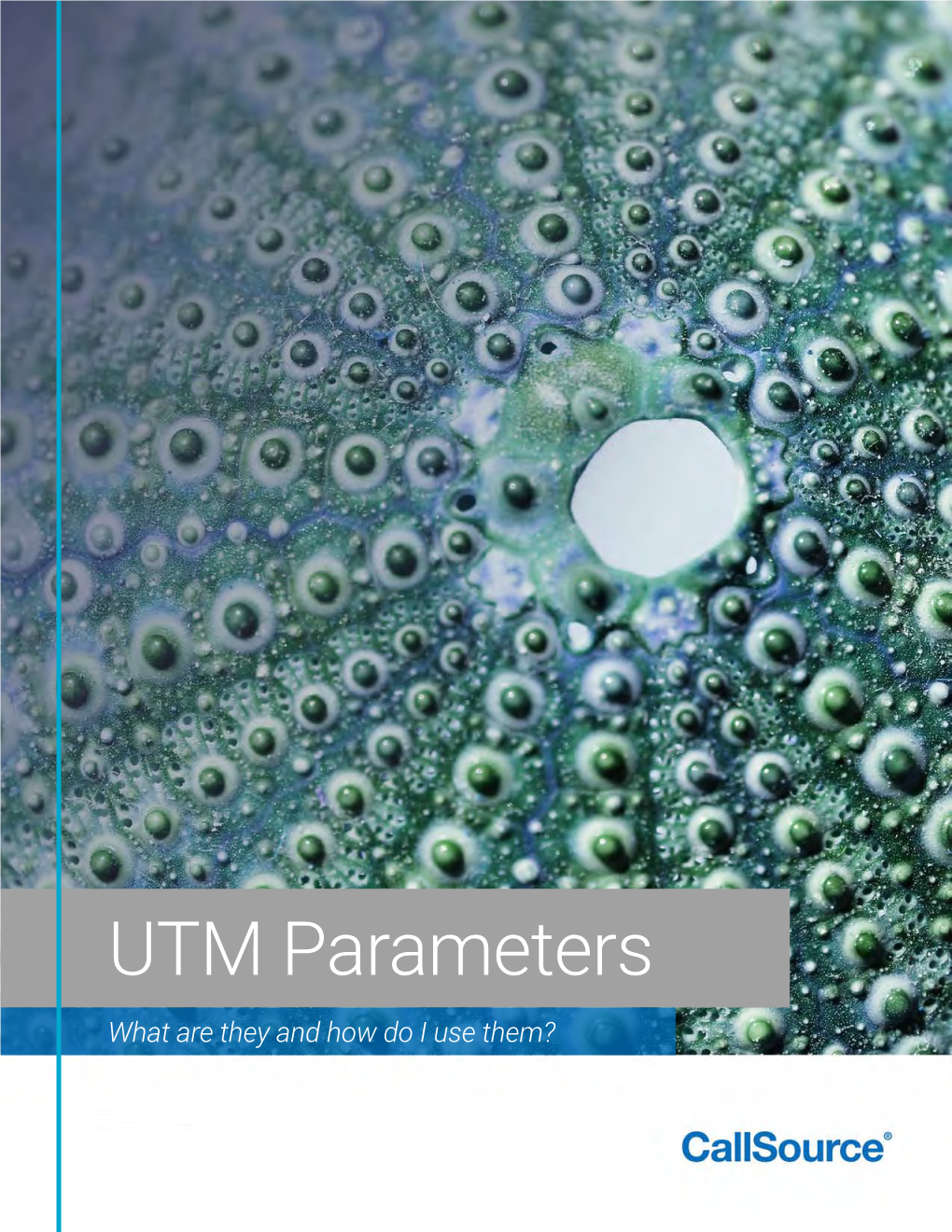 UTM Parameters What Are They and How Do I Use Them? Contents