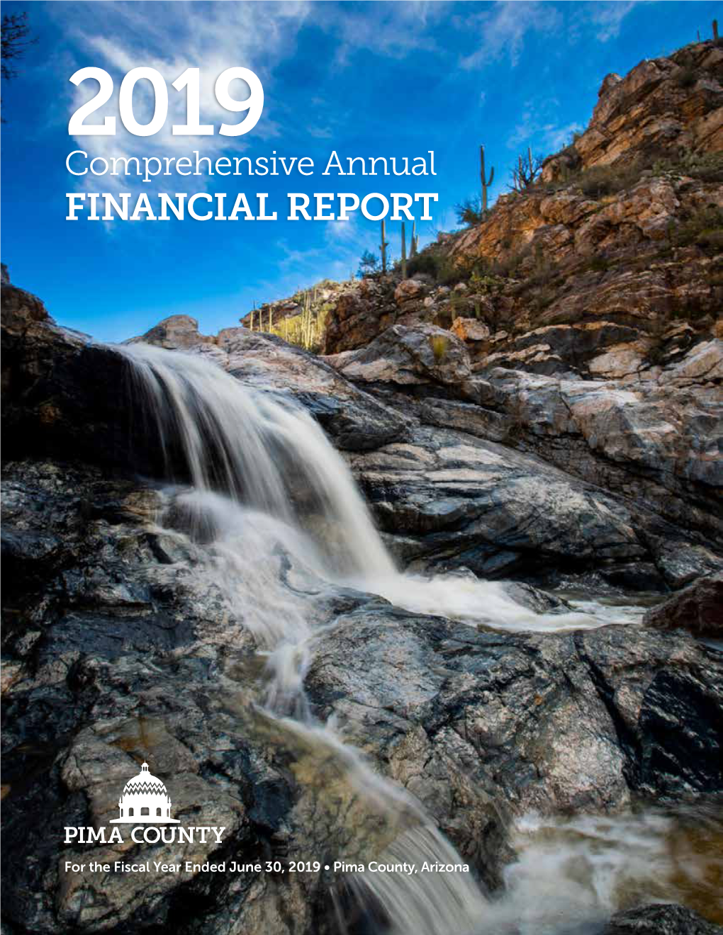 Pima County June 30, 2019 Financial Report