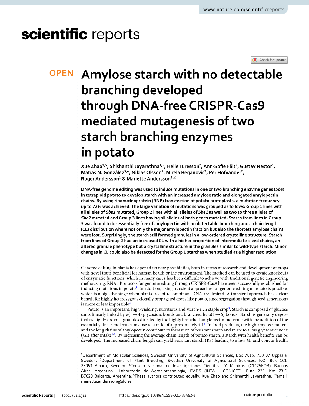 Amylose Starch with No Detectable Branching Developed Through DNA