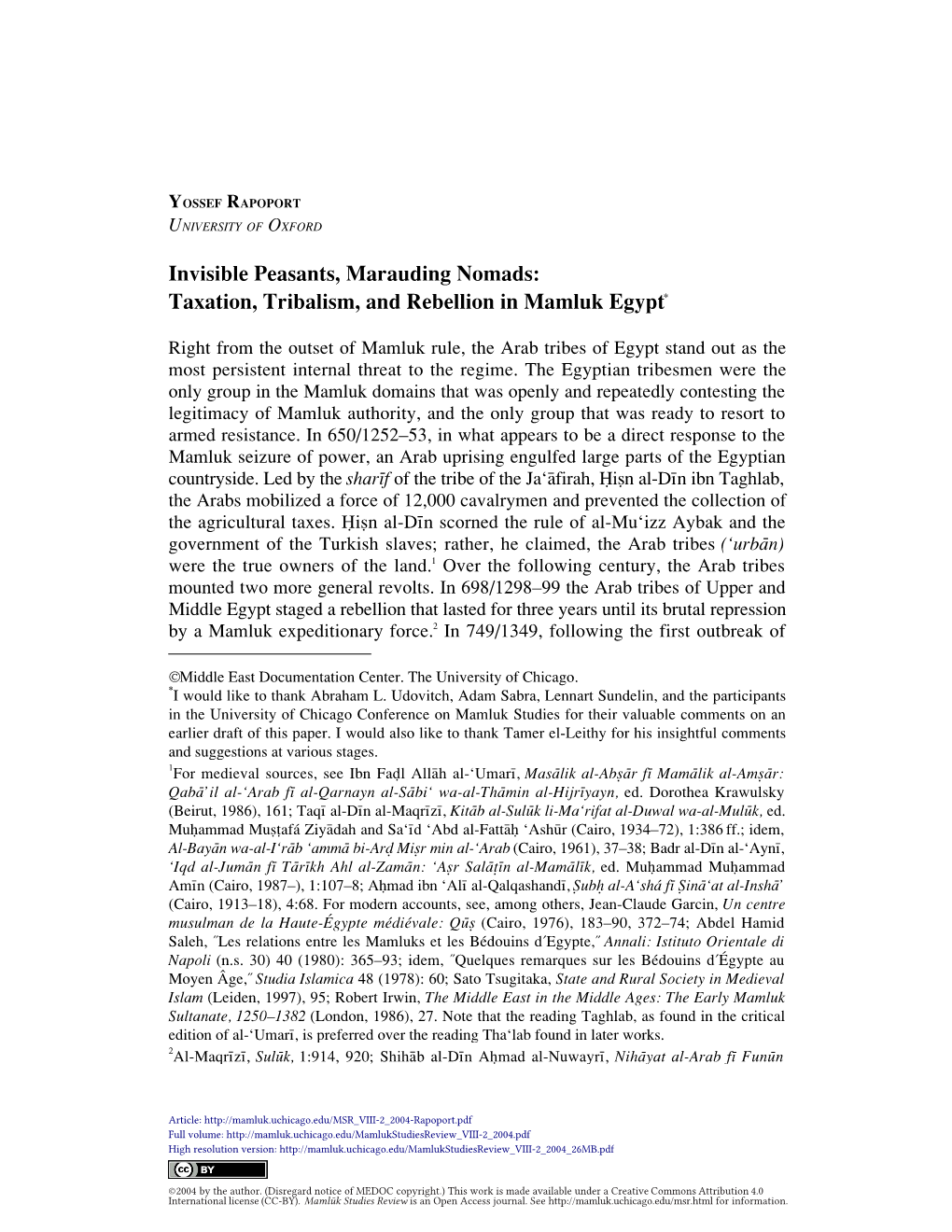 Invisible Peasants, Marauding Nomads: Taxation, Tribalism and Rebellion in Mamluk Egypt (MSR VIII.2, 2004)