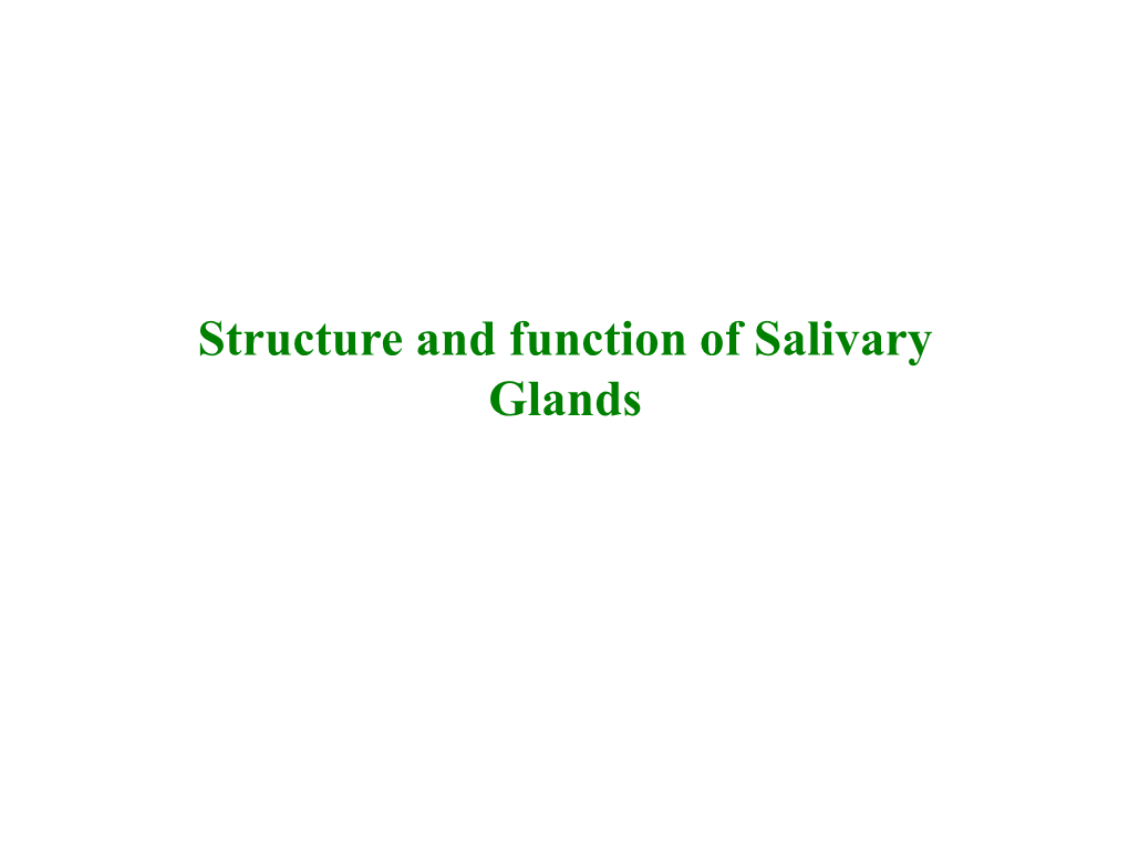 Structure and Function of Salivary Glands Features and Functions of the Salivary Glands