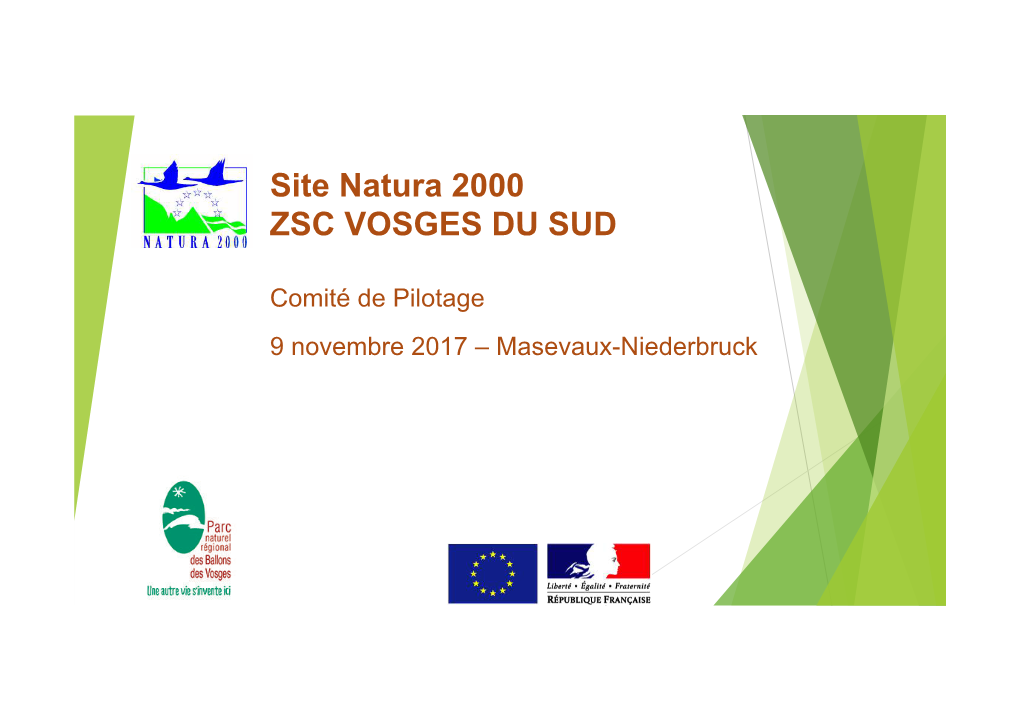 Site Natura 2000 ZSC VOSGES DU SUD