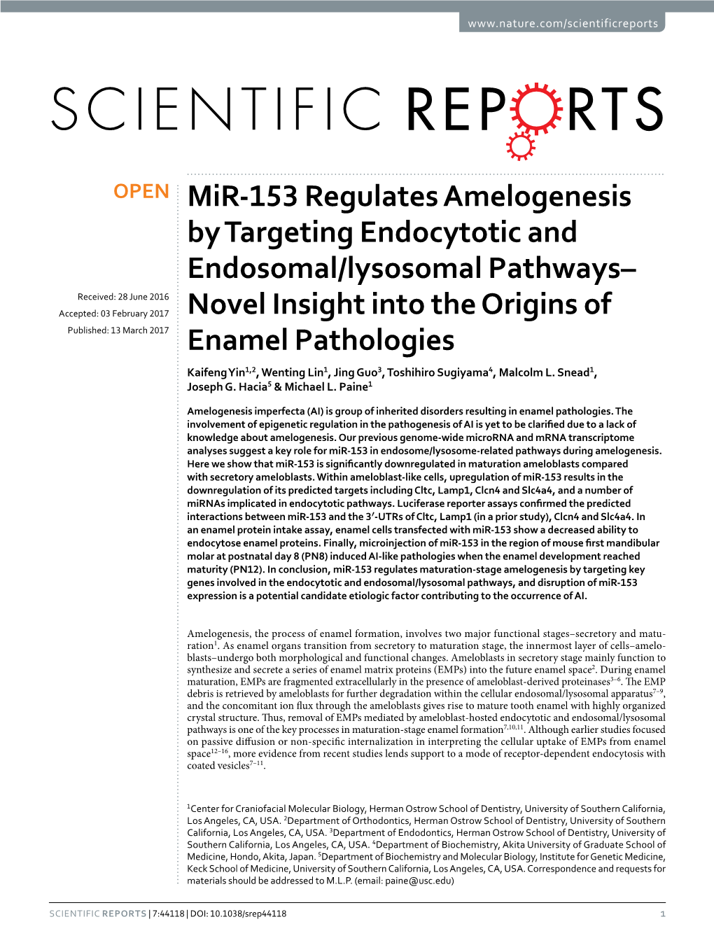 Mir-153 Regulates Amelogenesis by Targeting Endocytotic And