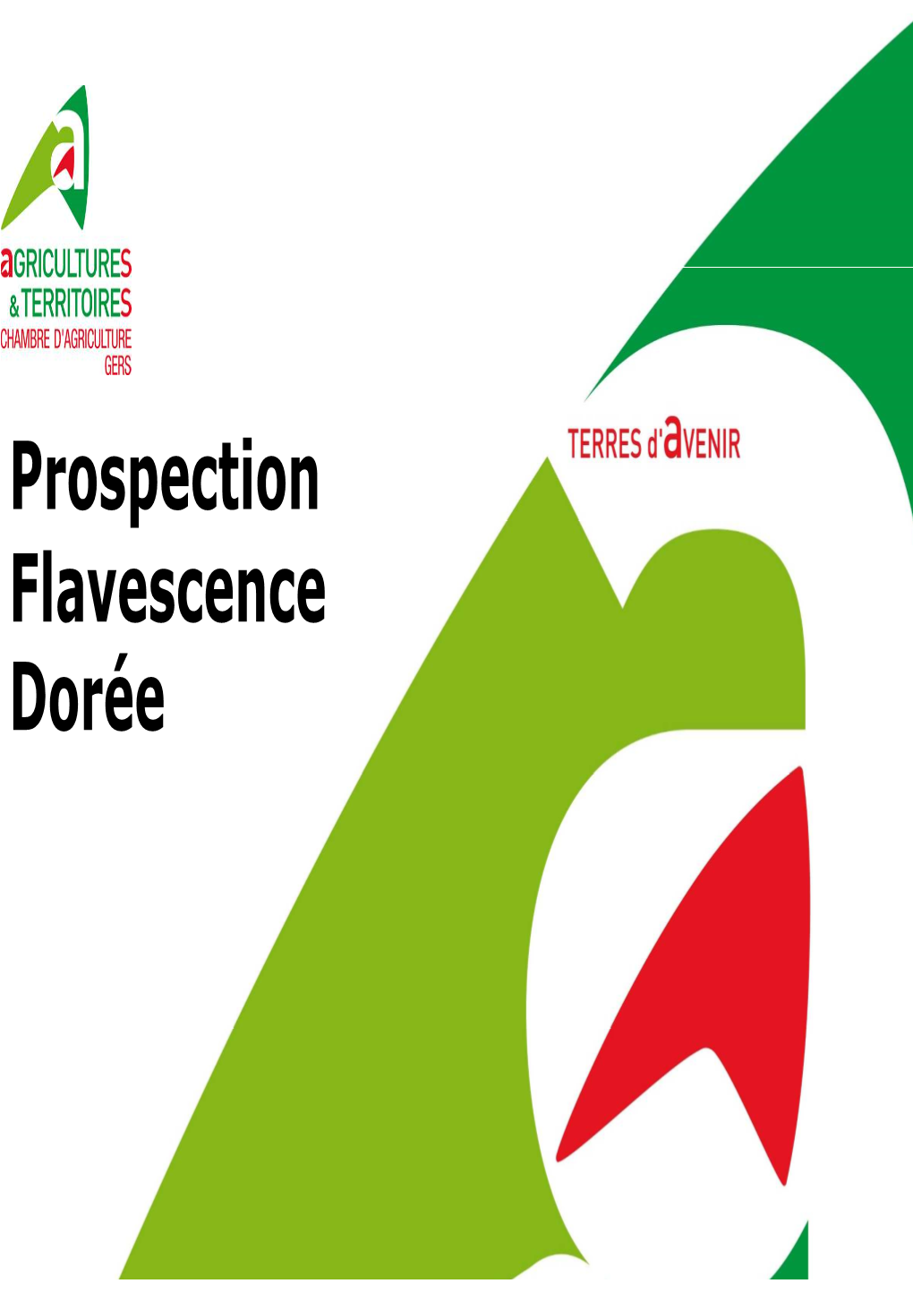 FD Prospections Bilan 2017