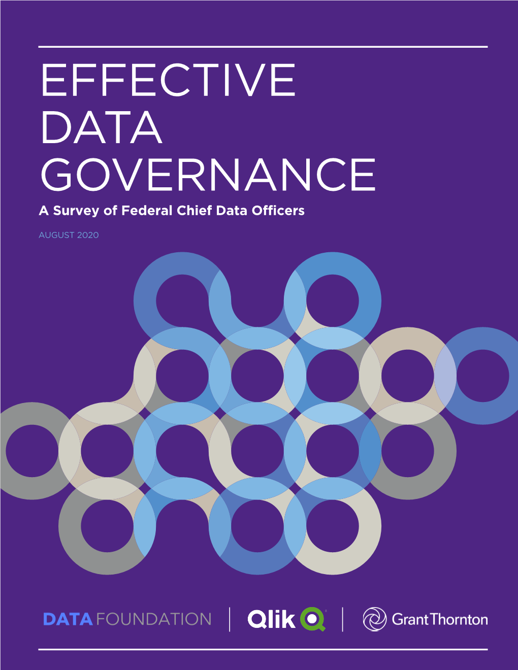EFFECTIVE DATA GOVERNANCE a Survey of Federal Chief Data Officers
