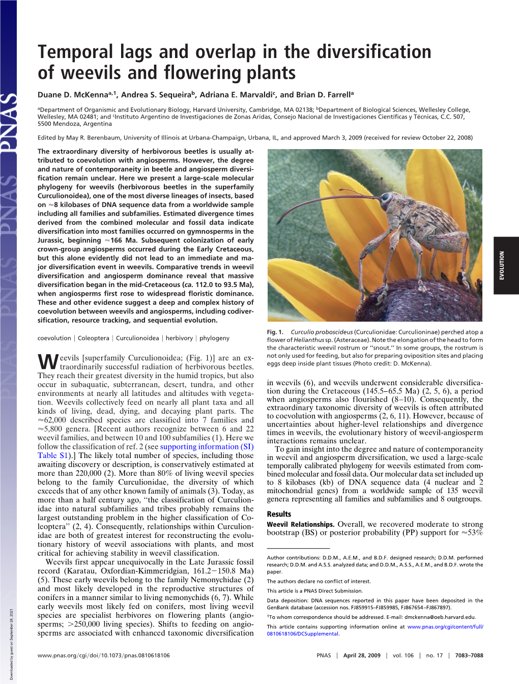 Temporal Lags and Overlap in the Diversification of Weevils and Flowering Plants