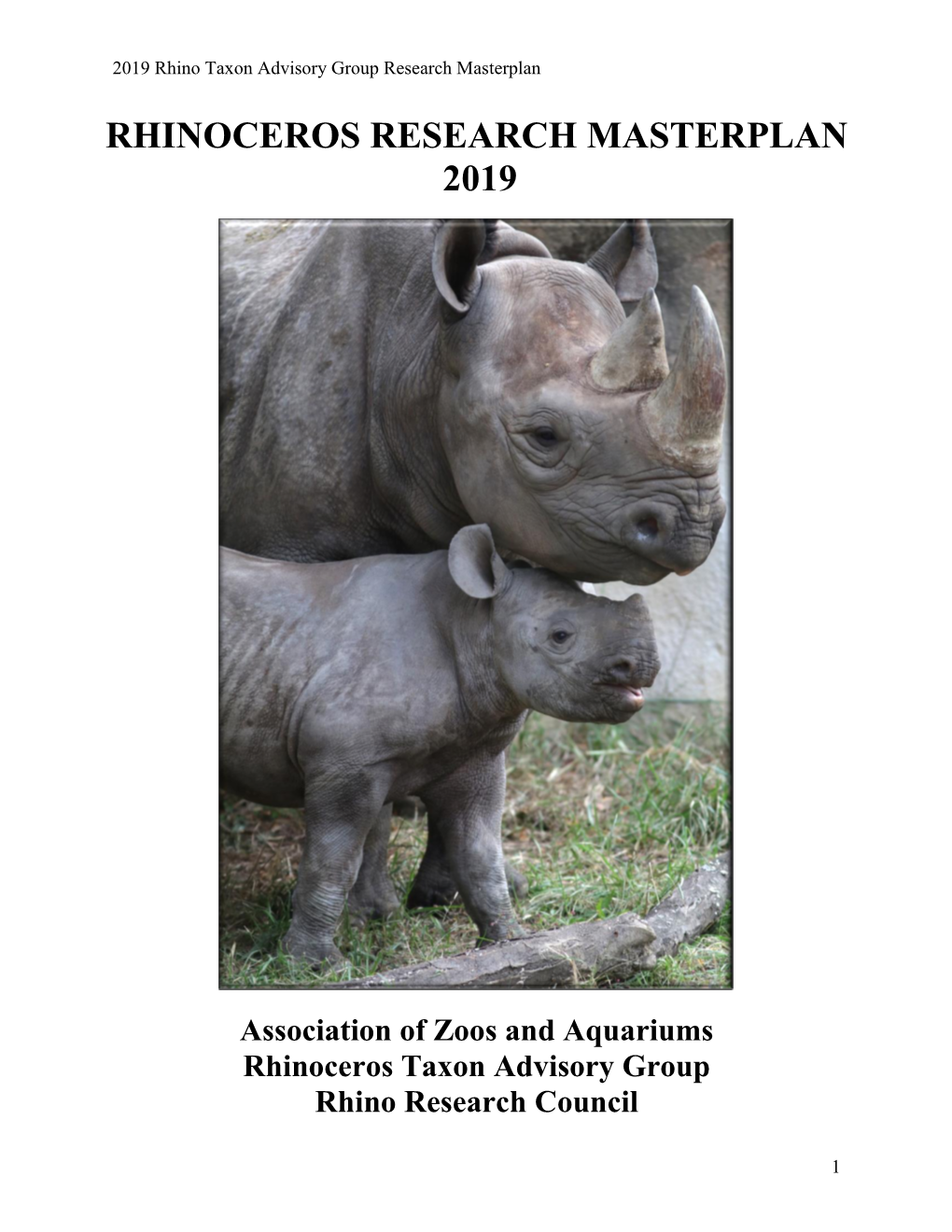 Rhinoceros Research Masterplan 2019