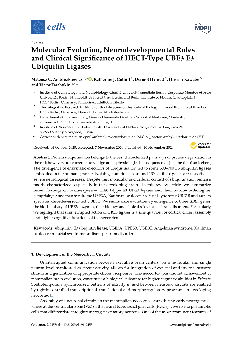 Molecular Evolution, Neurodevelopmental Roles and Clinical Signiﬁcance of HECT-Type UBE3 E3 Ubiquitin Ligases