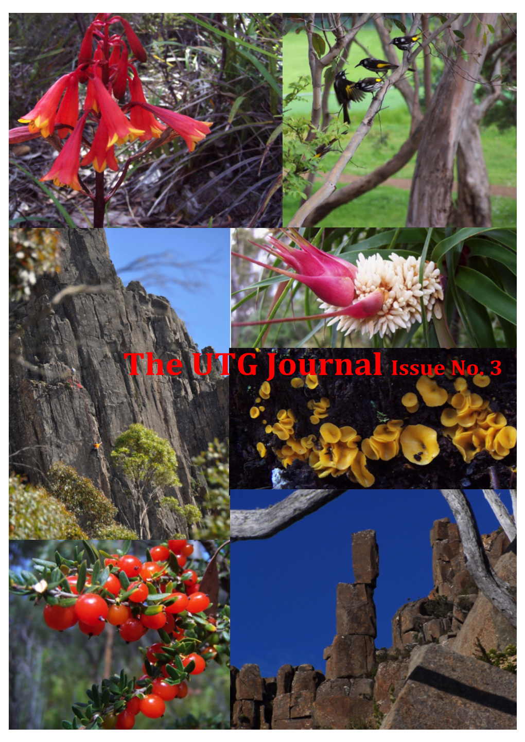 The UTG Journal Issue No. 3