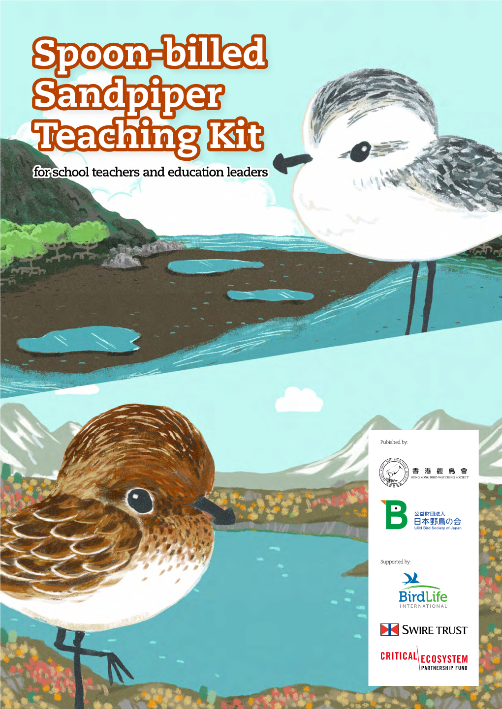 Spoon-Billed Sandpiper Teaching Kit for School Teachers and Education Leaders