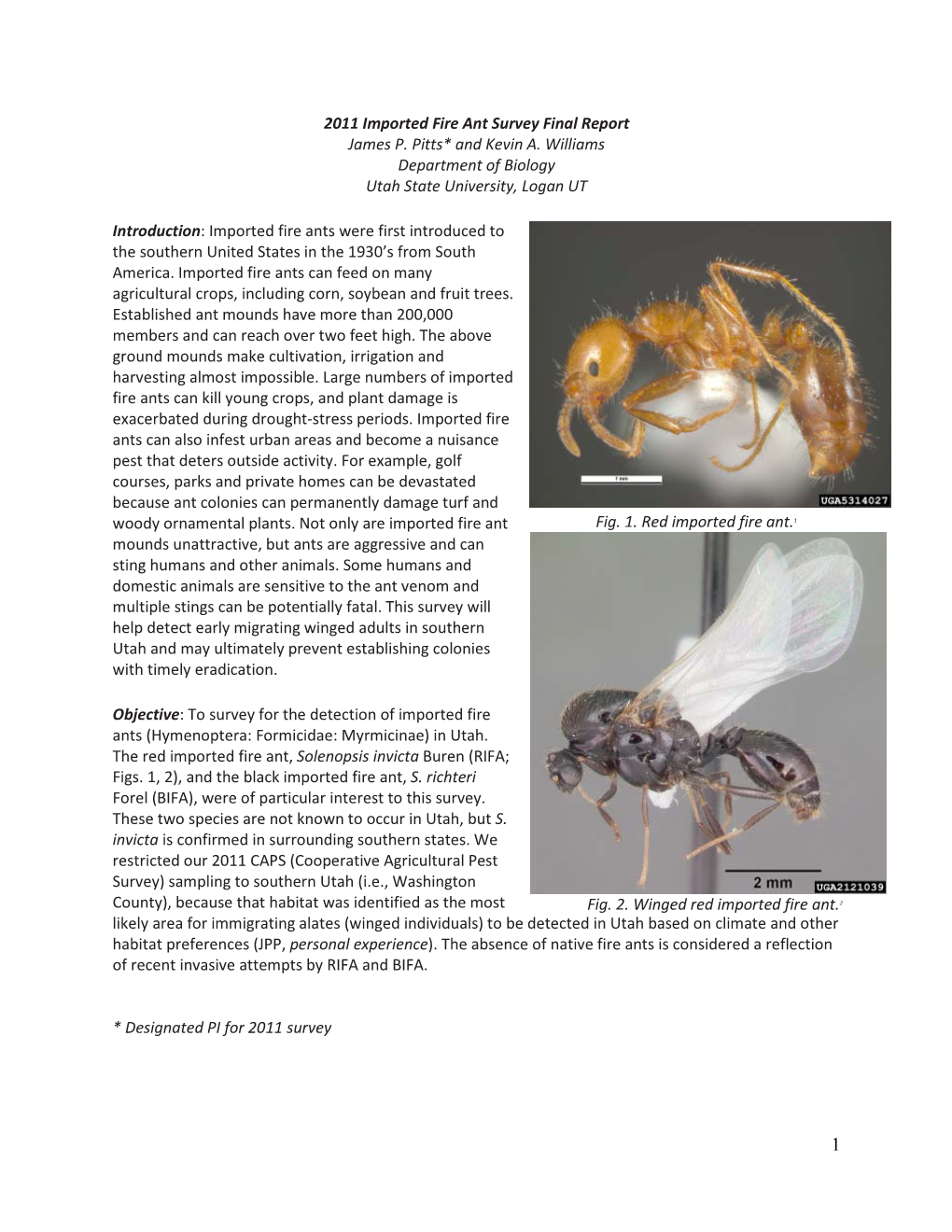 2011 Imported Fire Ant Survey Final Report James P. Pitts* and Kevin A