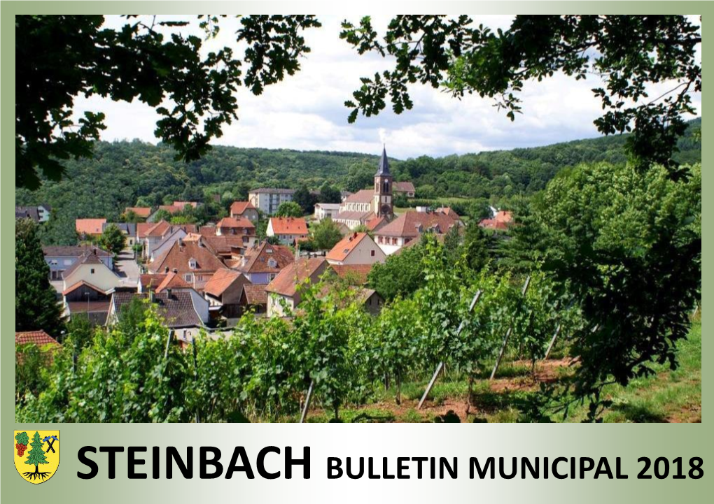 Steinbach Bulletin Municipal 2018