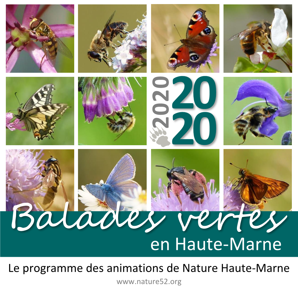 Balades Vertes En Haute-Marne