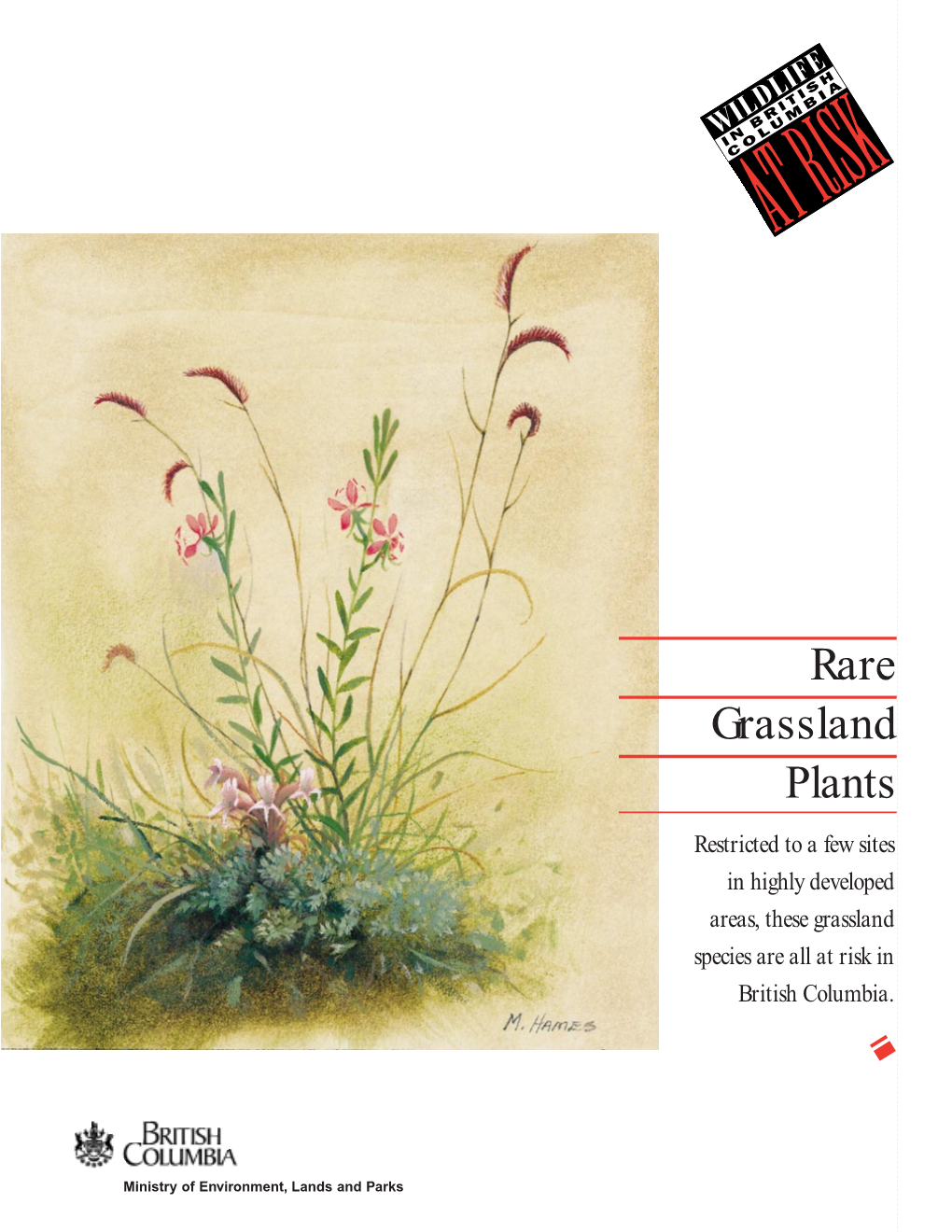 Rare Grassland Plants