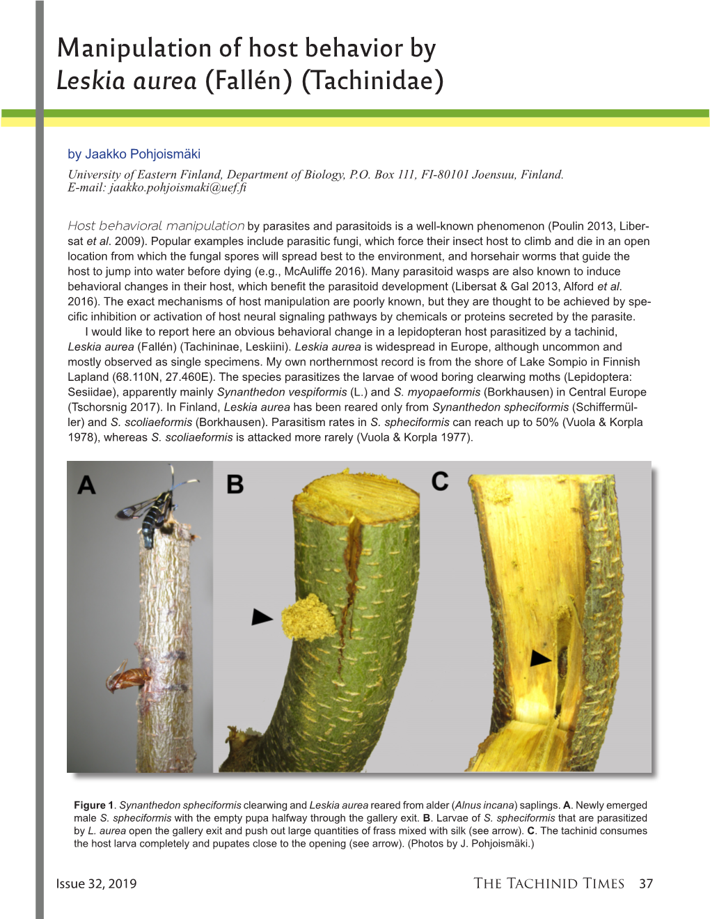 Manipulation of Host Behavior by Leskia Aurea (Fallén) (Tachinidae)