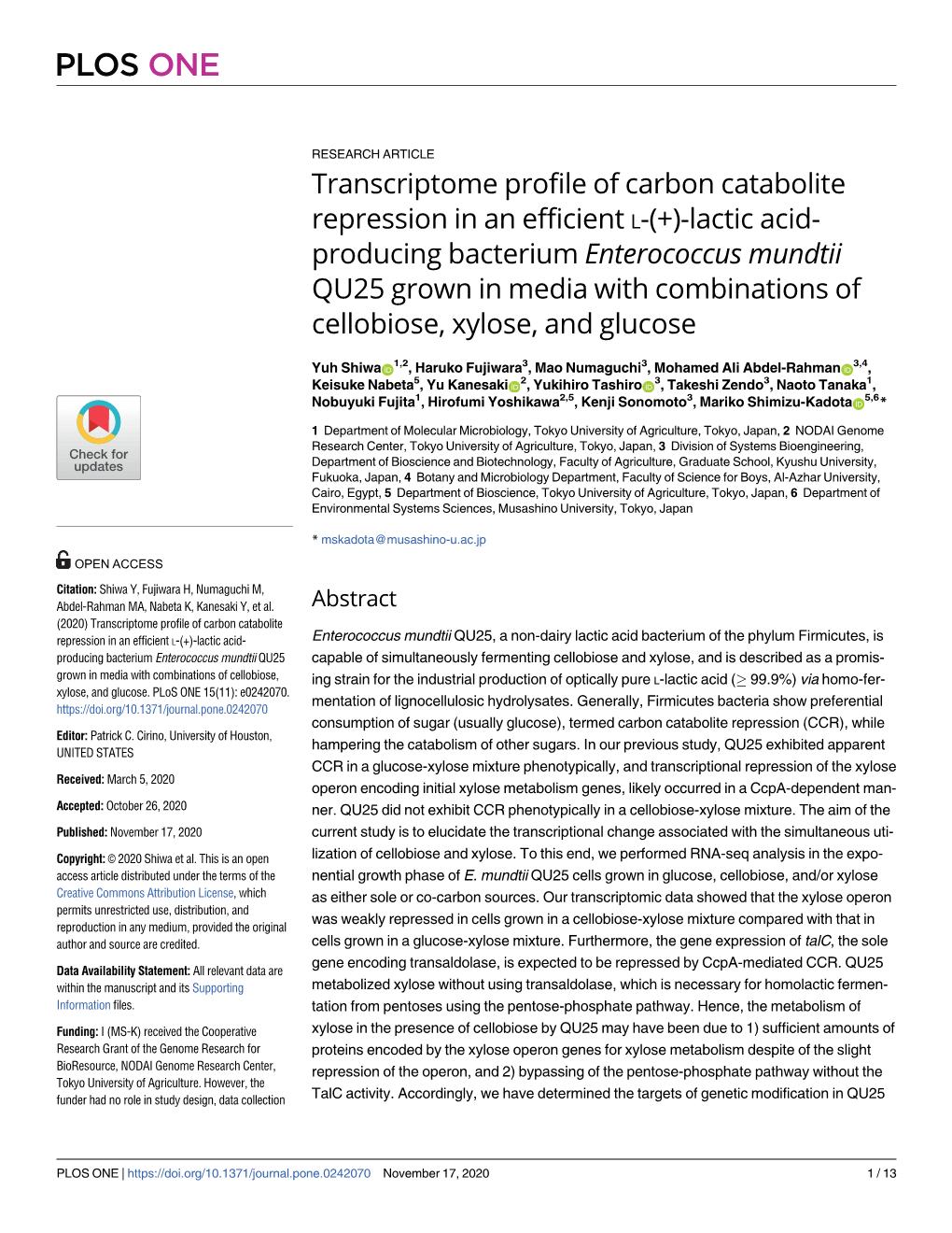 (+)-Lactic Acid-Producing Bacterium Enterococcus Mundtii