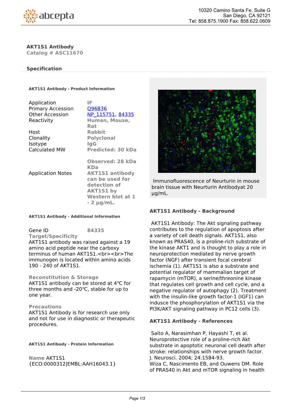 AKT1S1 Antibody Catalog # ASC11670