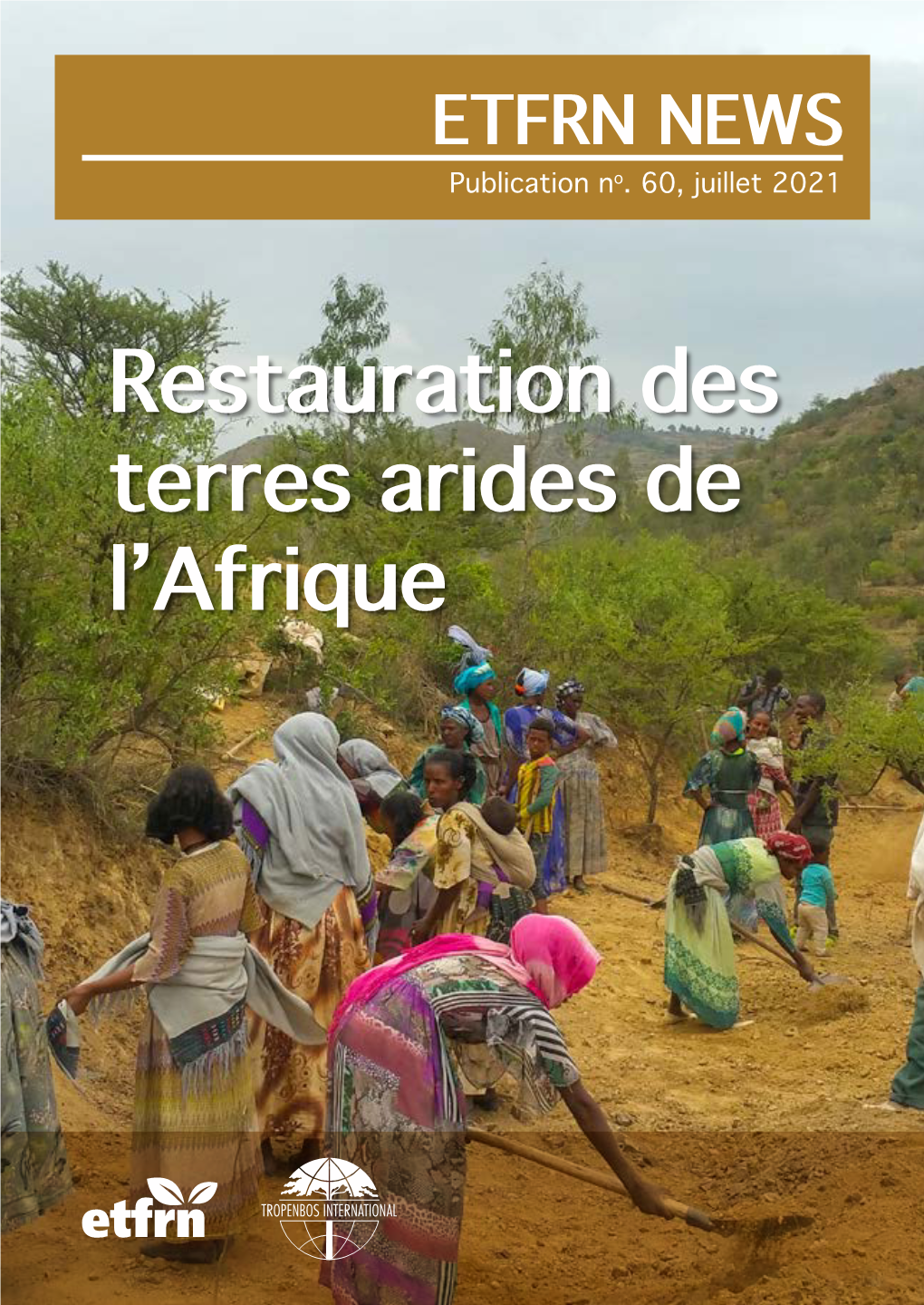 Restauration Des Terres Arides De L'afrique