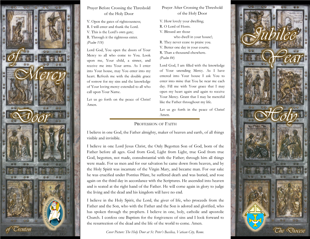 Jubilee Year of Mercy Holy Door