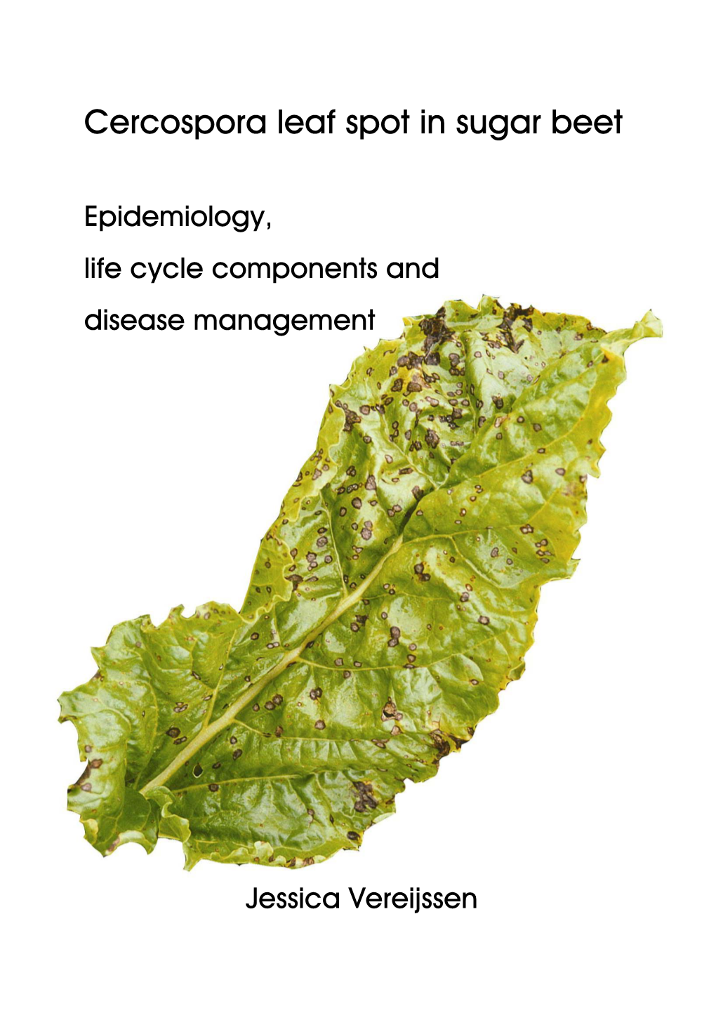 Cercospora Leaf Spot in Sugar Beet