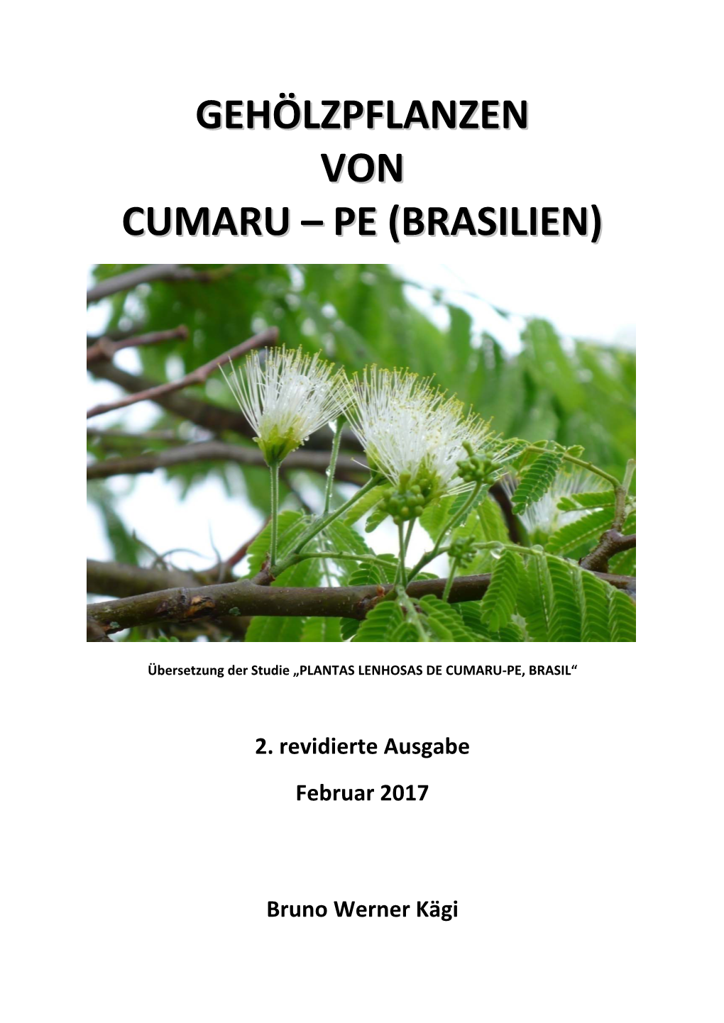 Gehölzpflanzen Von Cumaru – Pe (Brasilien)