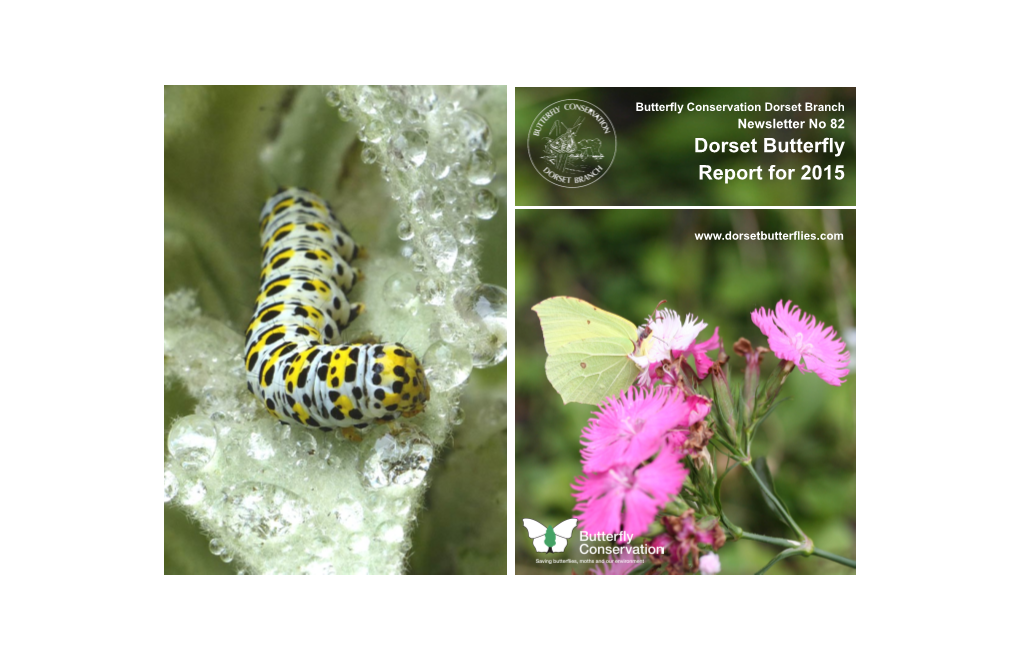 Dorset Butterfly Report for 2015