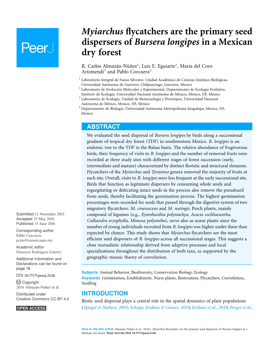 Myiarchus Flycatchers Are the Primary Seed Dispersers of Bursera