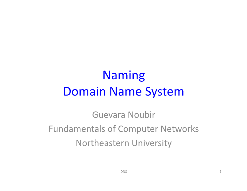 Naming Domain Name System
