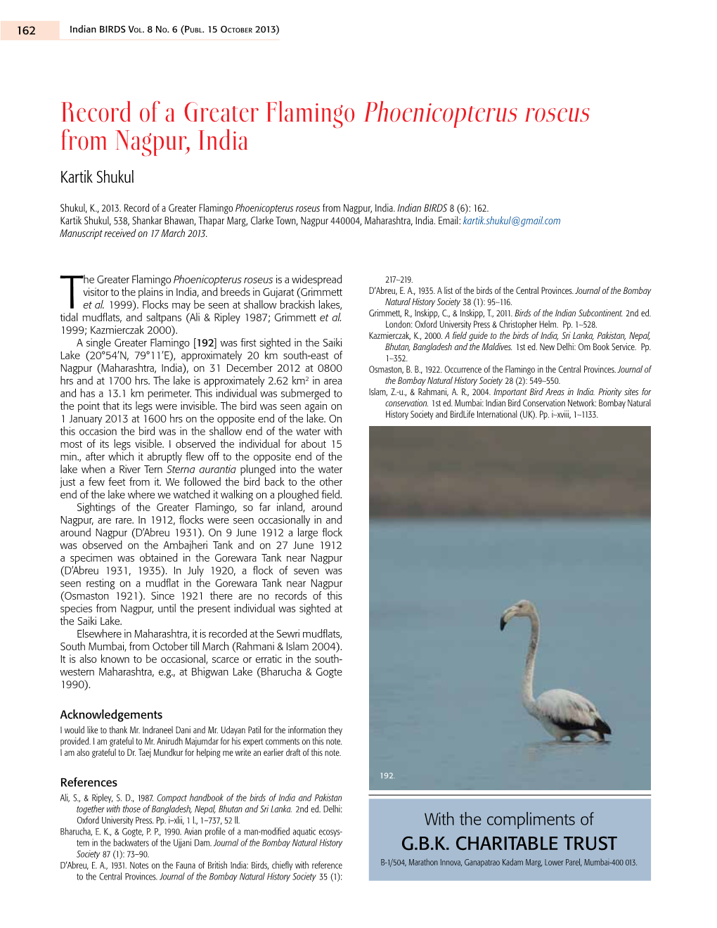 Record of a Greater Flamingo Phoenicopterus Roseus from Nagpur, India Kartik Shukul