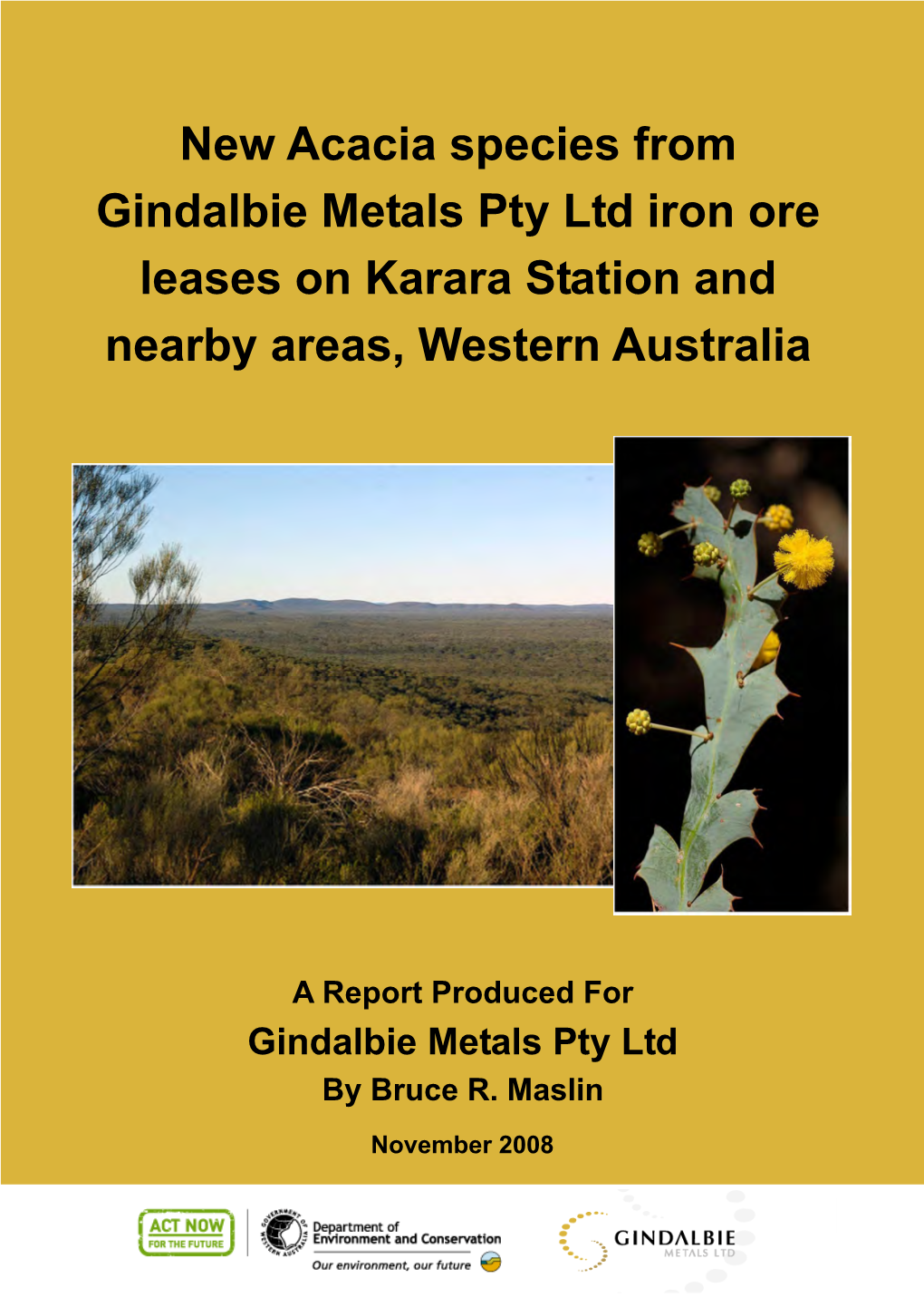 New Acacia Species from Gindalbie Metals Pty Ltd Iron Ore Leases on Karara Station and Nearby Areas, Western Australia